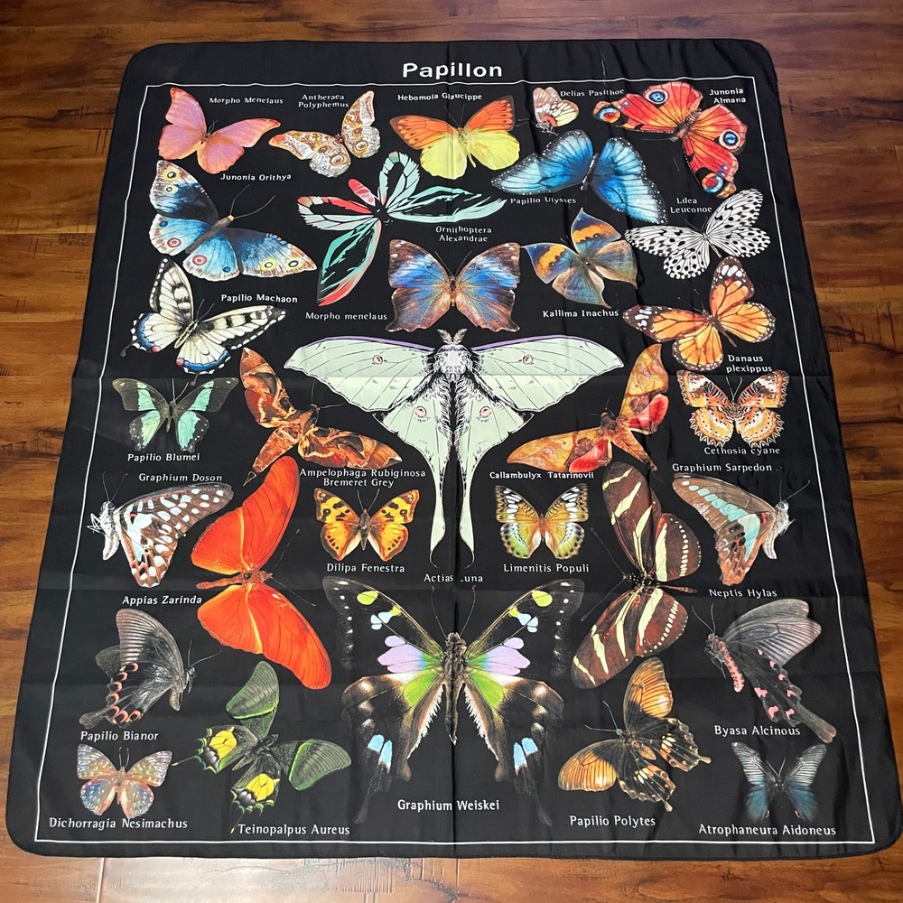 Papilllon Butterfly Chart Wall Hanging Tapestry 50x58 Black Scientific Moth Art